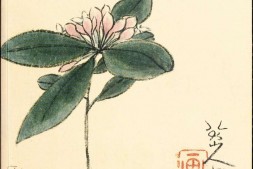 追寻天趣.In pursuit of heavenly harmony.王方宇沈慧藏.八大山人书画.2003年弗瑞尔美术馆英文版 PDF电子版下载